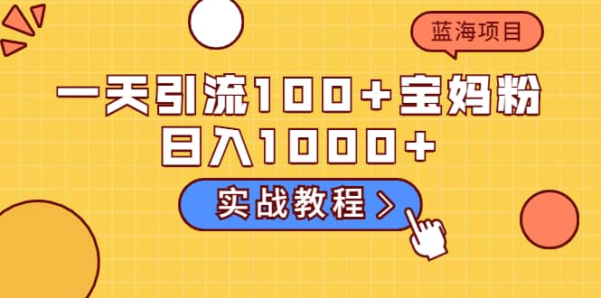 一天引流100+宝妈粉，日入1000+的蓝海项目（实战教程）-智宇达资源网