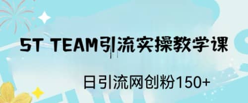 ST TEAM引流实操课，日引流网创粉100+-智宇达资源网