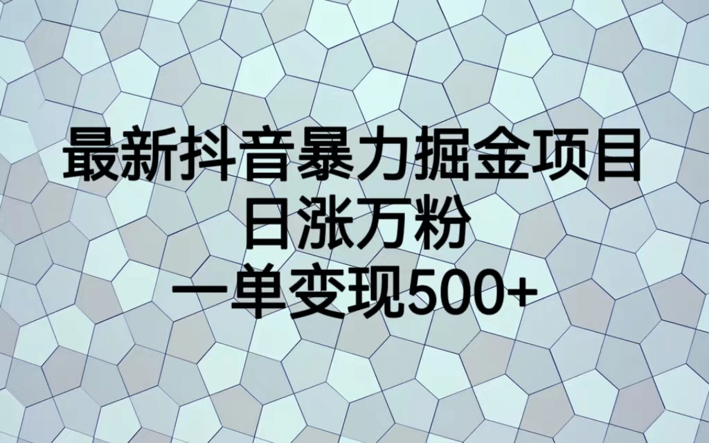 最火热的抖音暴力掘金项目，日涨万粉，多种变现方式，一单变现可达500+-智宇达资源网