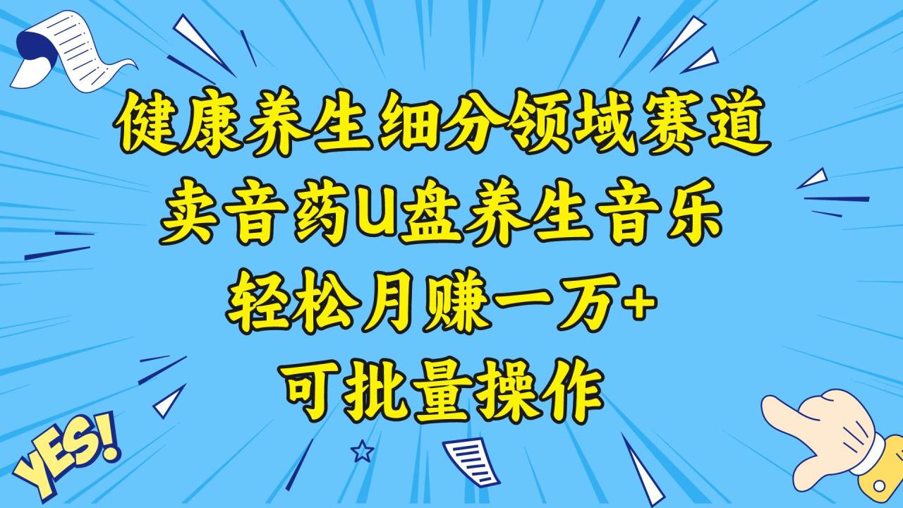 图片[1]-健康养生细分领域赛道，卖音药U盘养生音乐，轻松月赚一万+，可批量操作-智宇达资源网