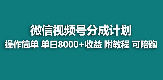 【蓝海项目】视频号分成计划，单天收益8000+，附玩法教程！可陪跑-智宇达资源网