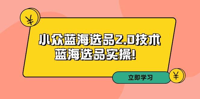 拼多多培训第33期：小众蓝海选品2.0技术-蓝海选品实操！-智宇达资源网