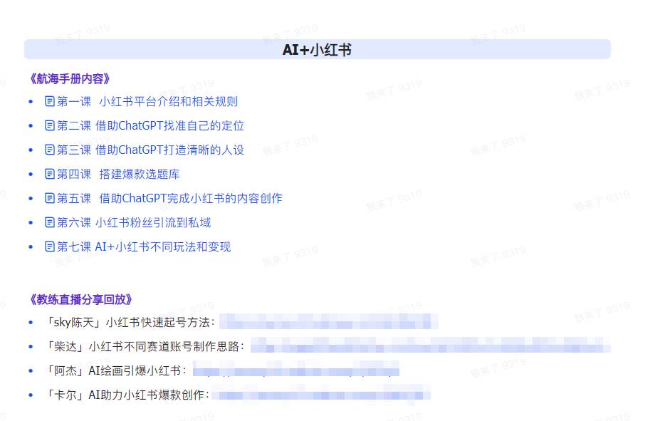 图片[3]-AI破局手册+教练分享合集：AI提示词/AI+小红书 /AI+公众号/AI+绘画/AI编程-智宇达资源网