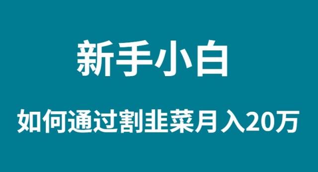 新手小白如何通过割韭菜月入 20W-智宇达资源网