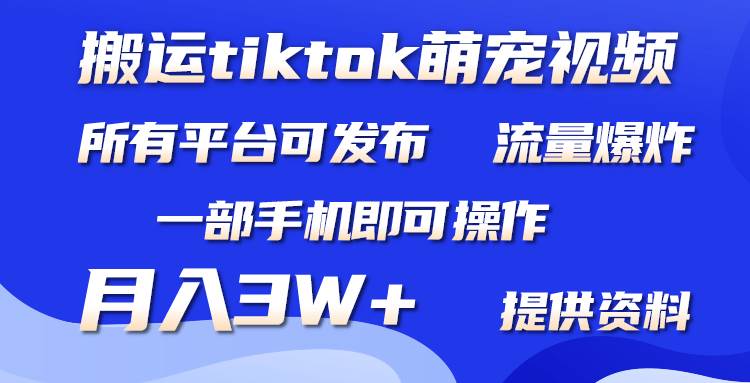 搬运Tiktok萌宠类视频，一部手机即可。所有短视频平台均可操作，月入3W+-智宇达资源网