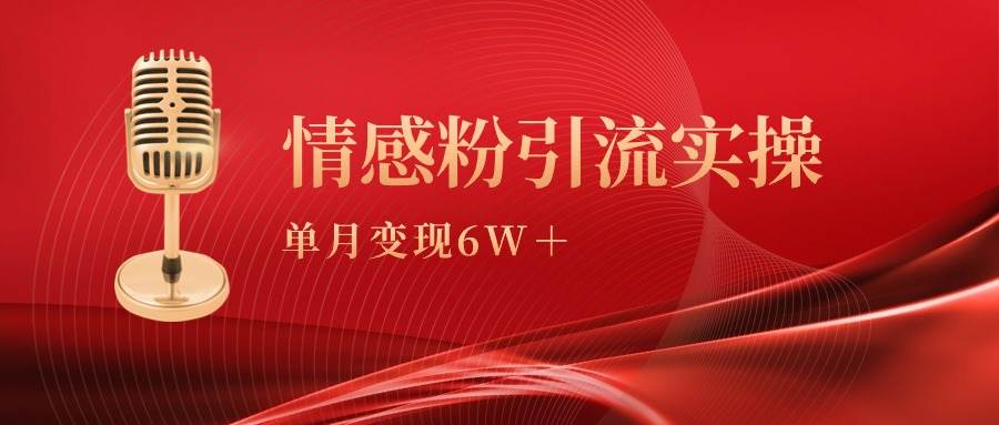 单月变现6w+，情感粉引流变现实操课-智宇达资源网