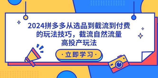 2024拼多多从选品到截流到付费的玩法技巧，截流自然流量玩法，高投产玩法-智宇达资源网