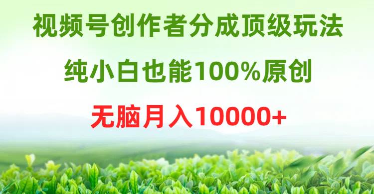 视频号创作者分成顶级玩法，纯小白也能100%原创，无脑月入10000+-智宇达资源网