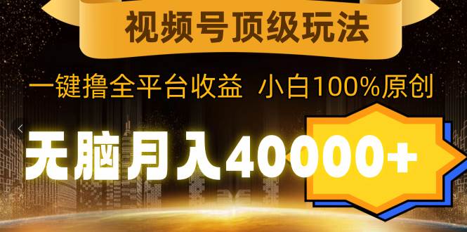 视频号顶级玩法，无脑月入40000+，一键撸全平台收益，纯小白也能100%原创-智宇达资源网