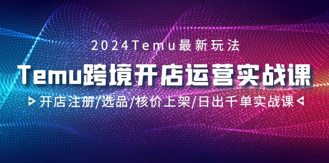 2024Temu跨境开店运营实战课，开店注册/选品/核价上架/日出千单实战课-智宇达资源网