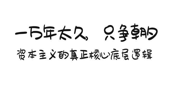 某付费文章《一万年太久，只争朝夕：资本主义的真正核心底层逻辑》-智宇达资源网