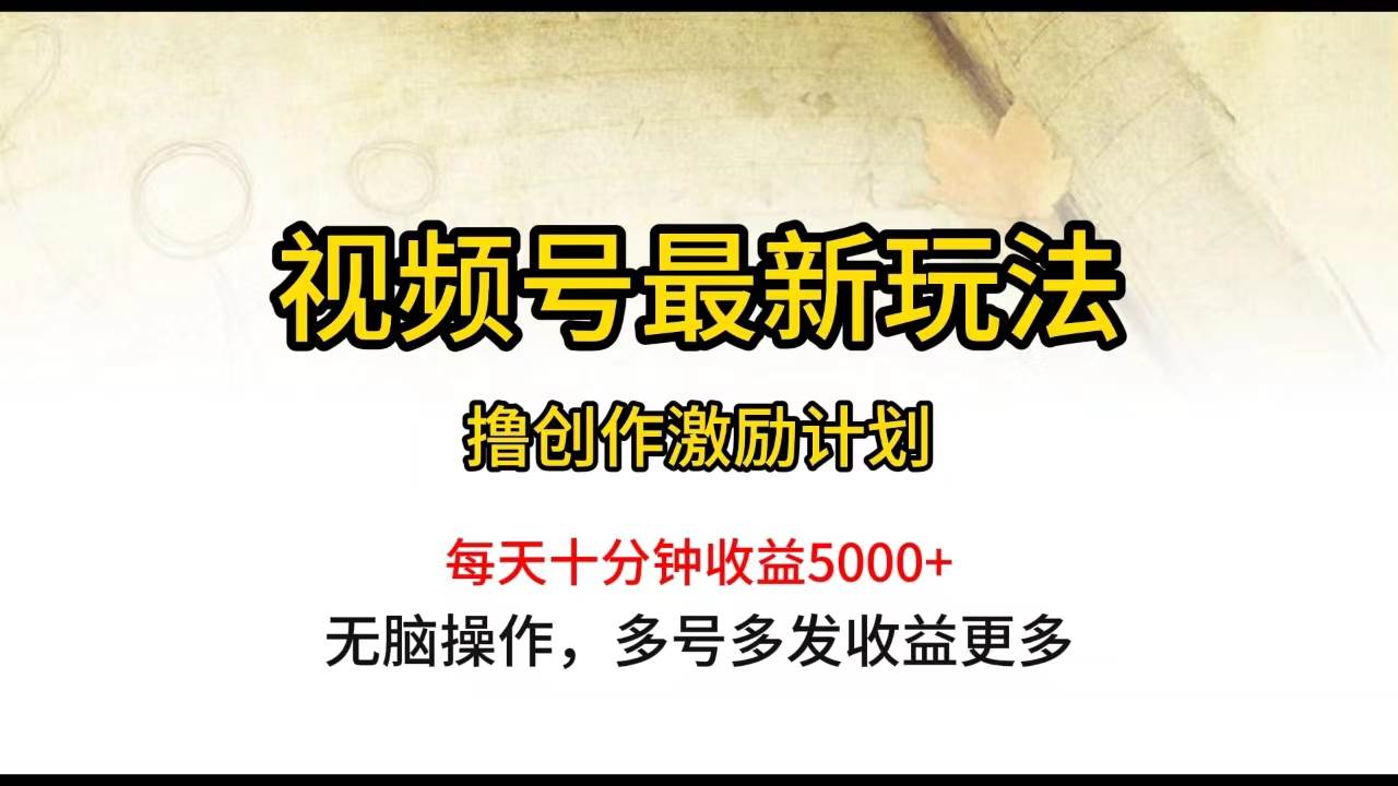 视频号最新玩法，每日一小时月入5000+-智宇达资源网