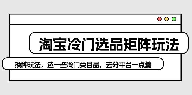 淘宝冷门选品矩阵玩法：换种玩法，选一些冷门类目品，去分平台一点羹-智宇达资源网