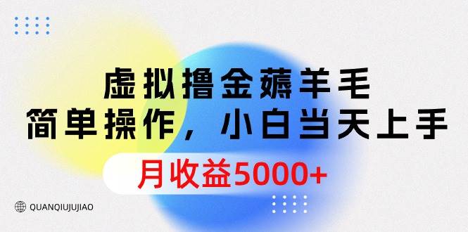 虚拟撸金薅羊毛，简单操作，小白当天上手，月收益5000+-智宇达资源网