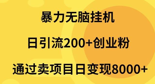 暴力无脑挂机日引流200+创业粉通过卖项目日变现2000+-智宇达资源网