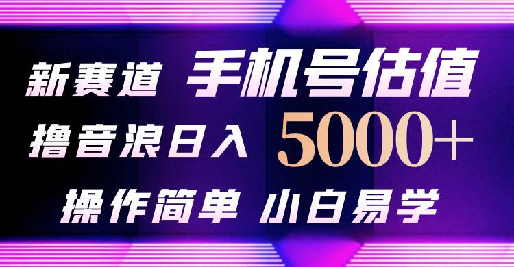 图片[1]-抖音不出境直播【手机号估值】最新撸音浪，日入5000+，简单易学，适合…-智宇达资源网