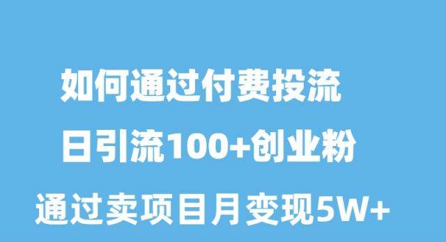 如何通过付费投流日引流100+创业粉月变现5W+-智宇达资源网