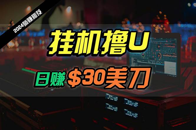 日赚30美刀，2024最新海外挂机撸U内部项目，全程无人值守，可批量放大-智宇达资源网