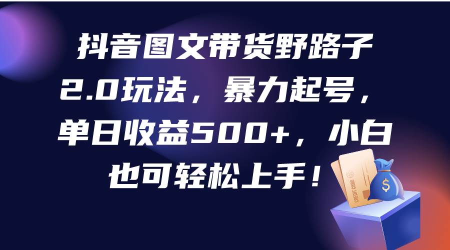 抖音图文带货野路子2.0玩法，暴力起号，单日收益500+，小白也可轻松上手！-智宇达资源网