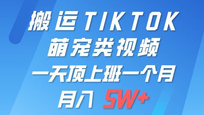 图片[1]-一键搬运TIKTOK萌宠类视频 一部手机即可操作 所有平台均可发布 轻松月入5W+-智宇达资源网