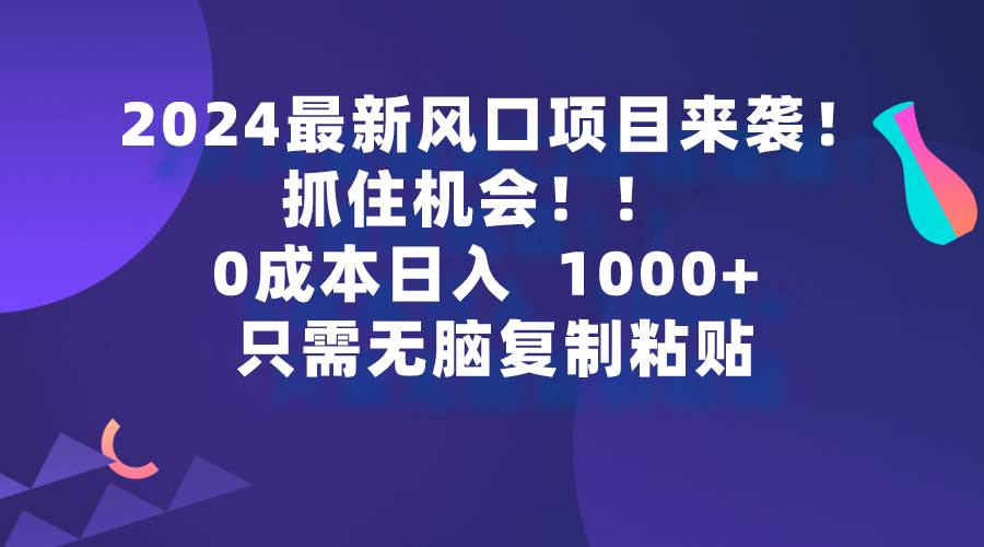 2024最新风口项目来袭，抓住机会，0成本一部手机日入1000+，只需无脑复…-智宇达资源网