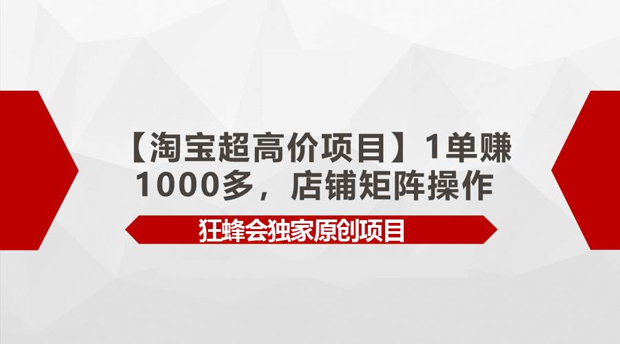 【淘宝超高价项目】1单赚1000多，店铺矩阵操作-智宇达资源网