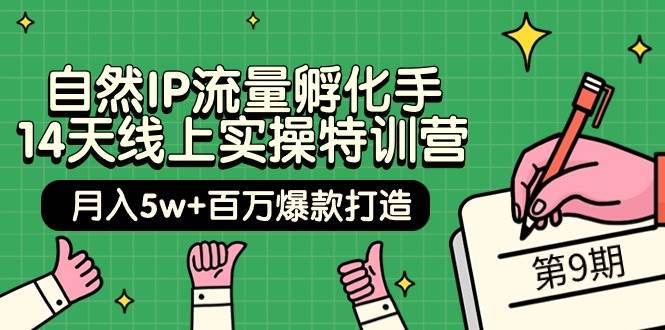 自然IP流量孵化手 14天线上实操特训营【第9期】月入5w+百万爆款打造 (74节)-智宇达资源网