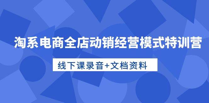 淘系电商全店动销经营模式特训营，线下课录音+文档资料-智宇达资源网