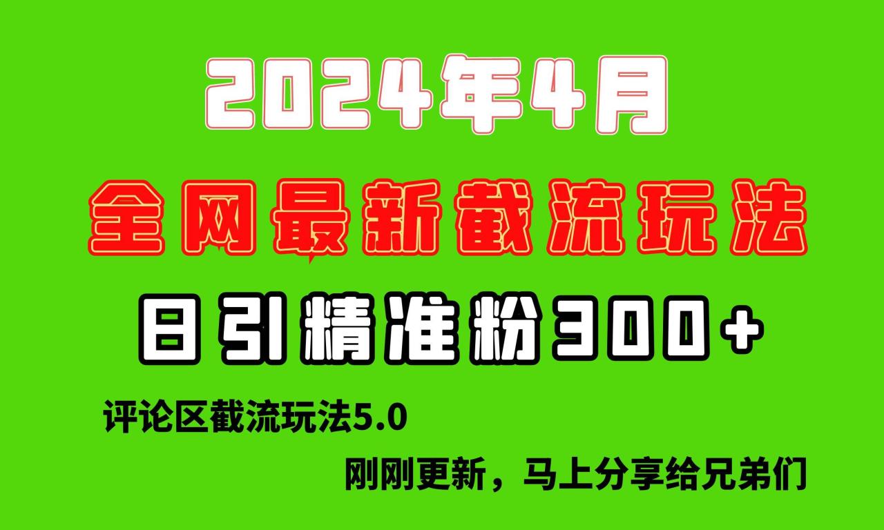 刚刚研究的最新评论区截留玩法，日引流突破300+，颠覆以往垃圾玩法，比…-智宇达资源网