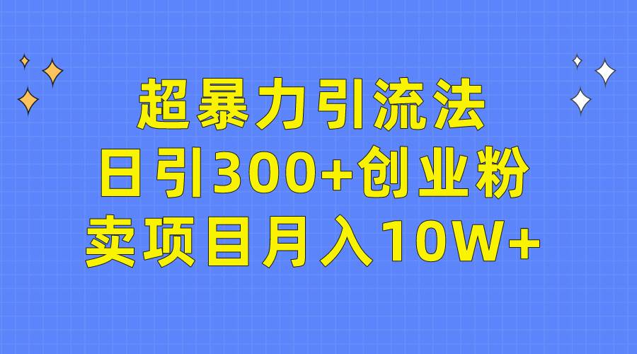 超暴力引流法，日引300+创业粉，卖项目月入10W+-智宇达资源网