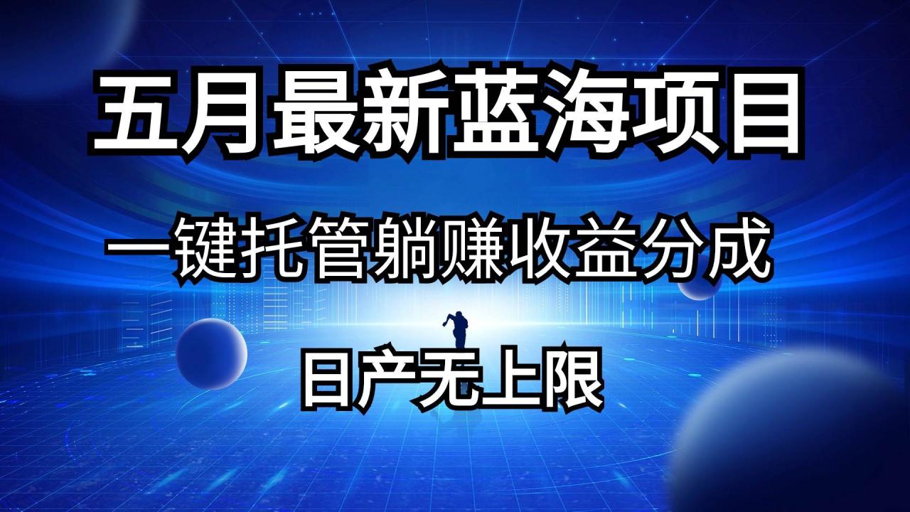 五月刚出最新蓝海项目一键托管 躺赚收益分成 日产无上限-智宇达资源网