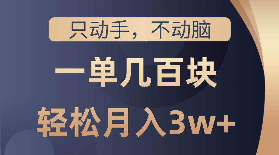 只动手不动脑，一单几百块，轻松月入3w+，看完就能直接操作，详细教程-智宇达资源网