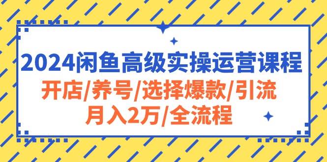 2024闲鱼高级实操运营课程：开店/养号/选择爆款/引流/月入2万/全流程-智宇达资源网