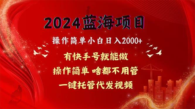 2024蓝海项目，网盘拉新，操作简单小白日入2000+，一键托管代发视频，…-智宇达资源网