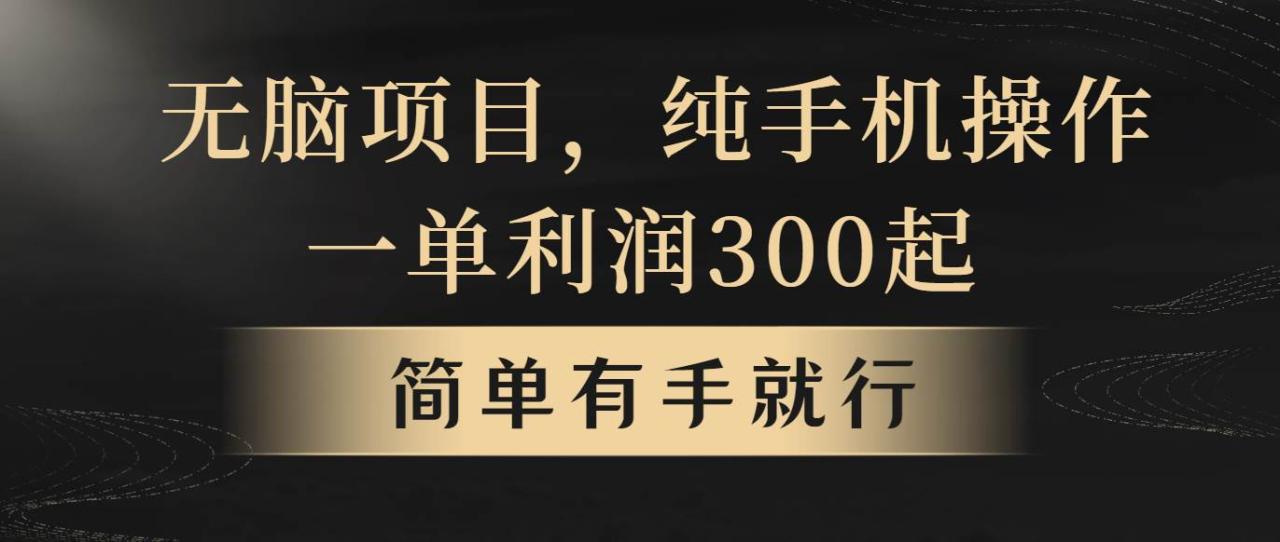 无脑项目，一单几百块，轻松月入5w+，看完就能直接操作-智宇达资源网