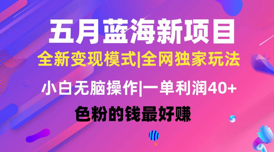 五月蓝海项目全新玩法，小白无脑操作，一天几分钟，矩阵操作，月入4万+-智宇达资源网