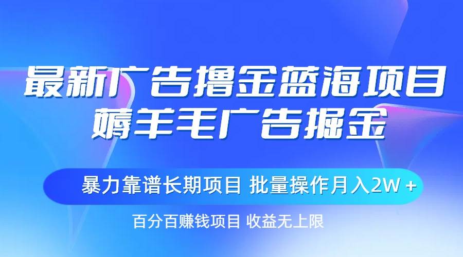 最新广告撸金蓝海项目，薅羊毛广告掘金 长期项目 批量操作月入2W＋-智宇达资源网