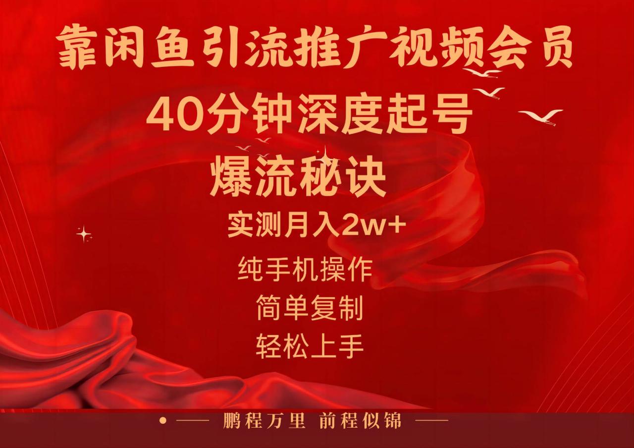 闲鱼暴力引流推广视频会员，能做到日入2W+，操作简单-智宇达资源网