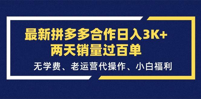 最新拼多多合作日入3K+两天销量过百单，无学费、老运营代操作、小白福利-智宇达资源网