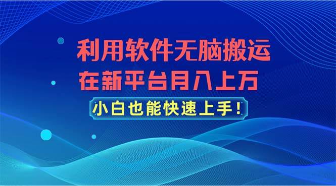 利用软件无脑搬运，在新平台月入上万，小白也能快速上手-智宇达资源网