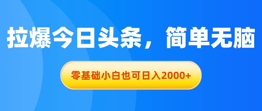 拉爆今日头条，简单无脑，零基础小白也可日入2000+-智宇达资源网