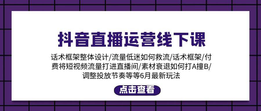 抖音直播运营线下课：话术框架/付费流量直播间/素材A撞B/等6月新玩法-智宇达资源网