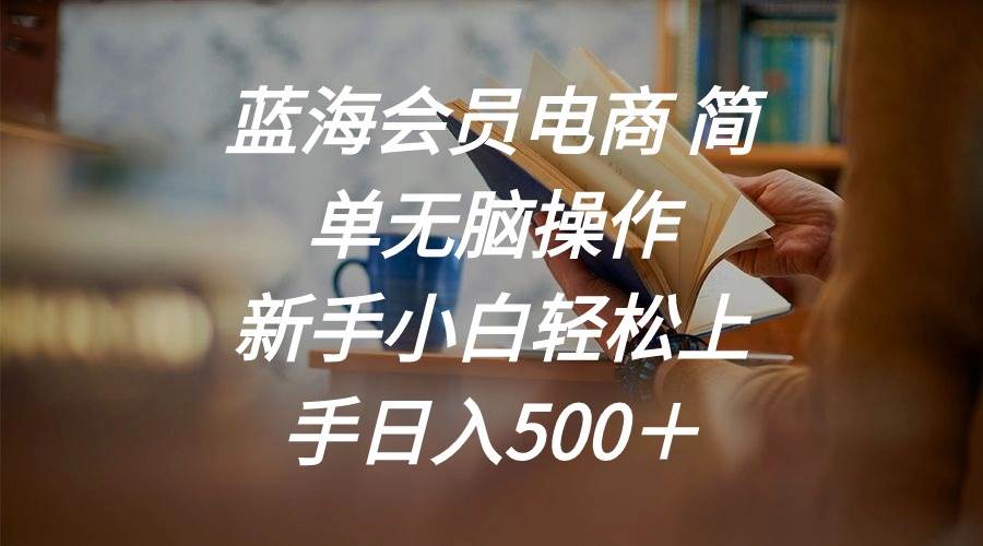 蓝海会员电商 简单无脑操作 新手小白轻松上手日入500＋-智宇达资源网