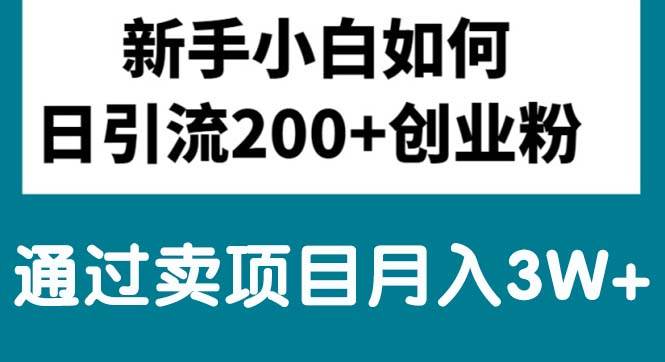 新手小白日引流200+创业粉,通过卖项目月入3W+-智宇达资源网