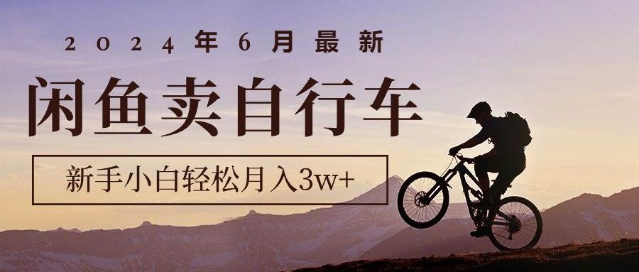 2024年6月最新闲鱼卖自行车，新手小白轻松月入3w+项目-智宇达资源网