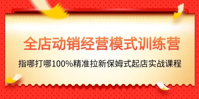 全店动销-经营模式训练营，指哪打哪100%精准拉新保姆式起店实战课程-智宇达资源网