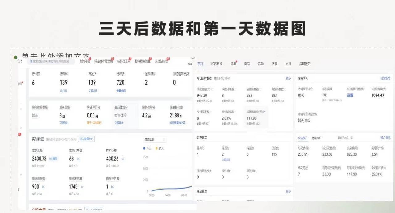 图片[2]-最新拼多多项目日入4000+两天销量过百单，无学费、老运营代操作、小白福利-智宇达资源网