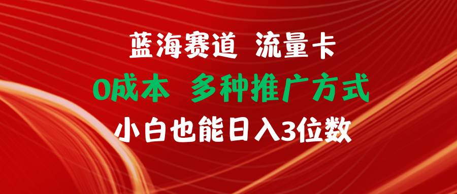 蓝海赛道 流量卡 0成本 小白也能日入三位数-智宇达资源网