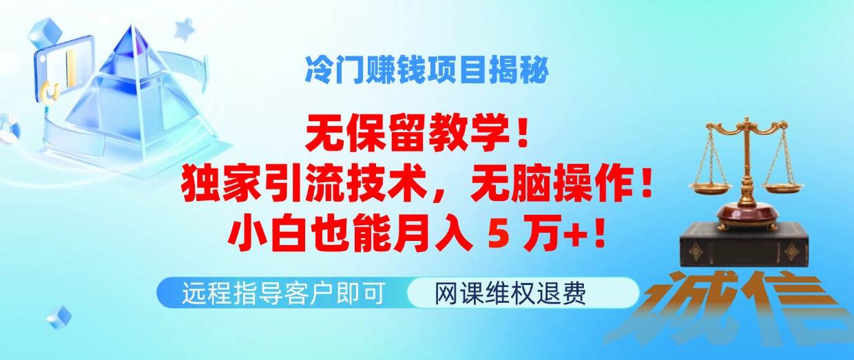 冷门赚钱项目无保留教学！独家引流技术，无脑操作！小白也能月入5万+！-智宇达资源网