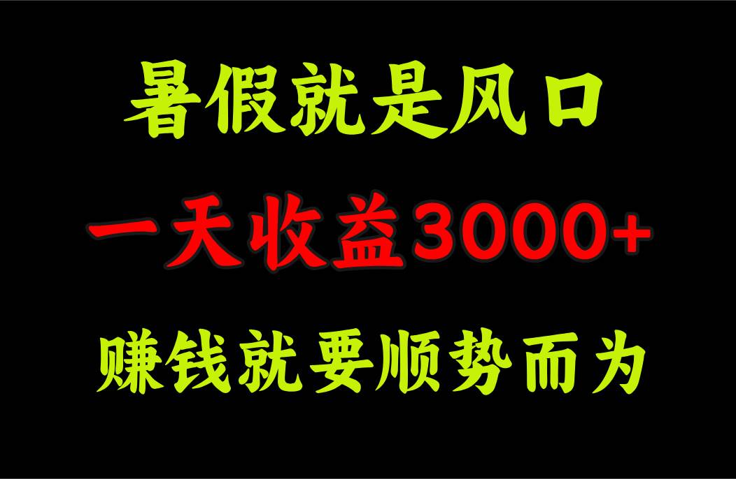 一天收益3000+ 赚钱就是顺势而为，暑假就是风口-智宇达资源网